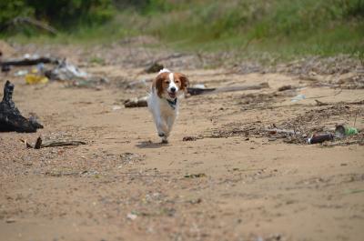 130518_17.jpg