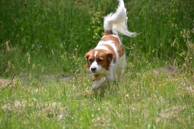 130518_25.jpg