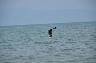 130518_5.jpg