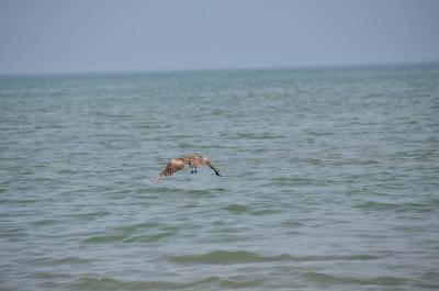 130518_6.jpg