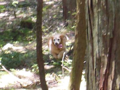 130524_10.jpg