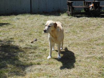 130524_15.jpg