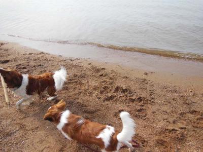 130525_10.jpg