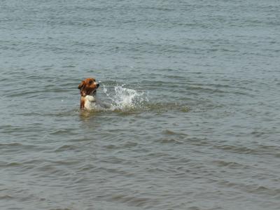 130525_6.jpg