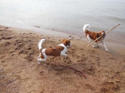 130525_9.jpg
