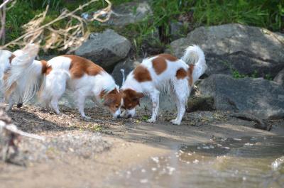 130526_17.jpg