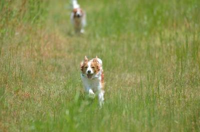 130526_7.jpg