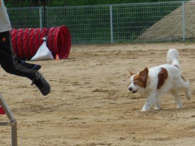 130602_1.jpg