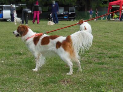 130602_5.jpg