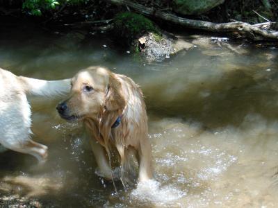 130603_4.jpg