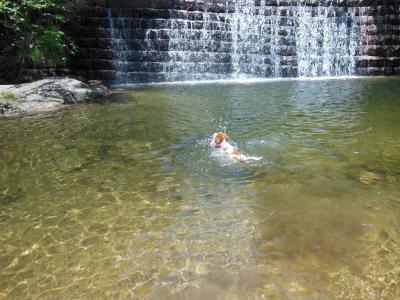 130607_18.jpg