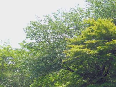 130607_3.jpg