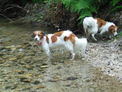 130612_10.jpg