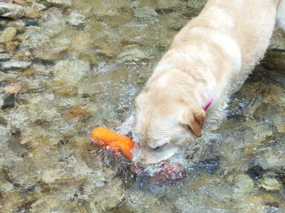 130612_14.jpg
