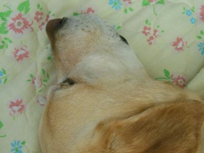 130614_11.jpg
