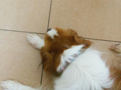 130621_2.jpg