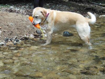 130625_13.jpg