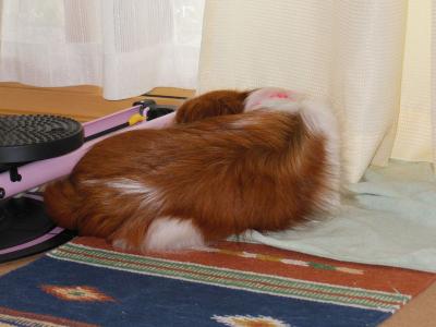 130627_3.jpg