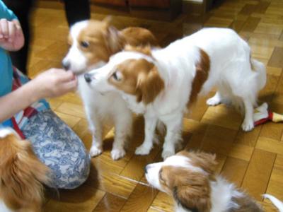 130704_4.jpg