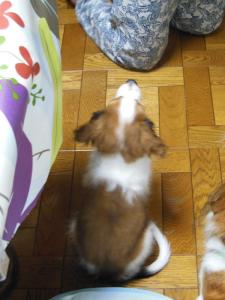 130704_8.jpg