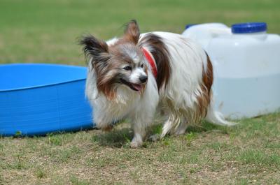 130706_10.jpg