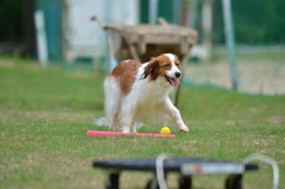 130706_12.jpg