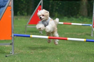 130706_15.jpg