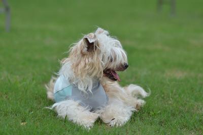 130706_22.jpg
