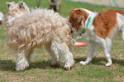 130706_9.jpg