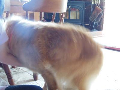 130708_10.jpg