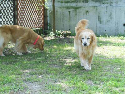130708_12.jpg