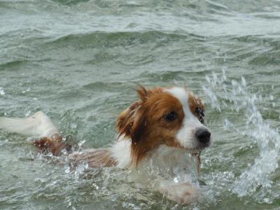 130715_13.jpg