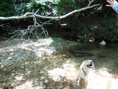 130717_7.jpg