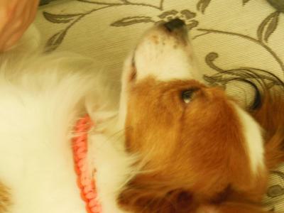 130719_6.jpg