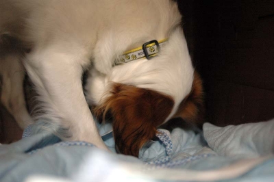 20071011_6.jpg