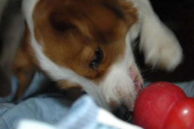 20071011_7.jpg
