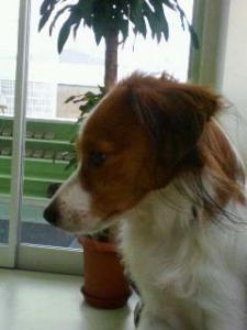 20071013_1.jpg