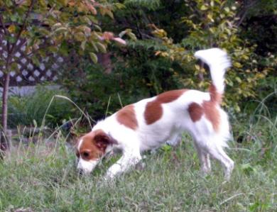 20071016_17.jpg