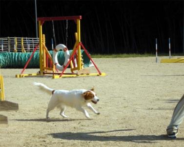 20071021_2.jpg