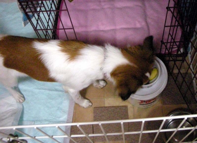20071029_7.jpg