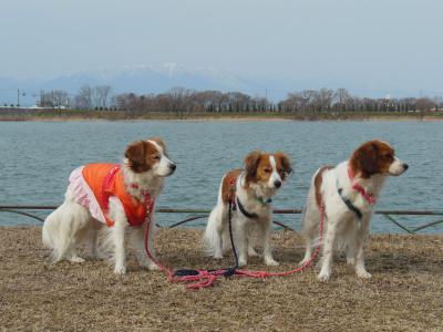 2_C2013 02 26