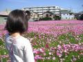 コピー ~ PICT4161