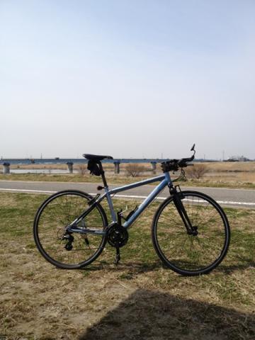 江戸川左岸