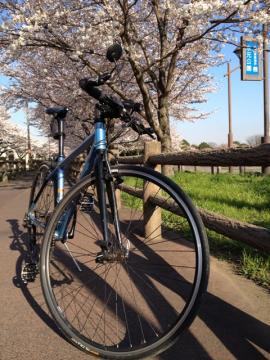 水元公園20120407
