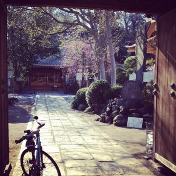 赤城神社