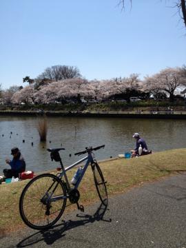 水元公園20120408