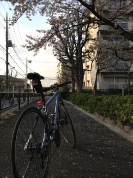 IMG_2032_20120412195132.jpg