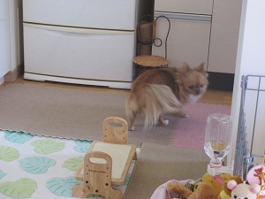IMG_0350.jpg