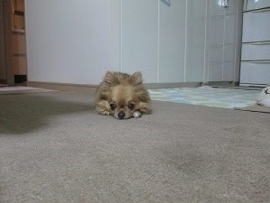 IMG_0878.jpg