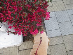 IMG_0892.jpg